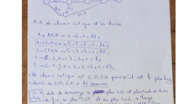 Thesis on Algorithmic Problem-Solving Techniques in Computational Mathematics