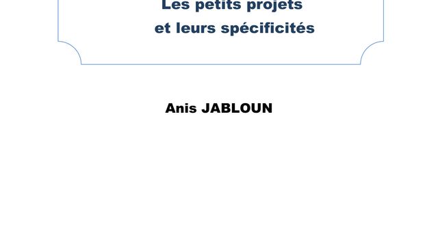 Management de projets: Les petits projets et leurs spécificités