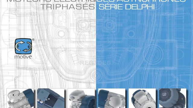 MOTEURS ÉLÉCTRIQUES ASYNCHRONES TRIPHASÉS SÉRIE DELPHI